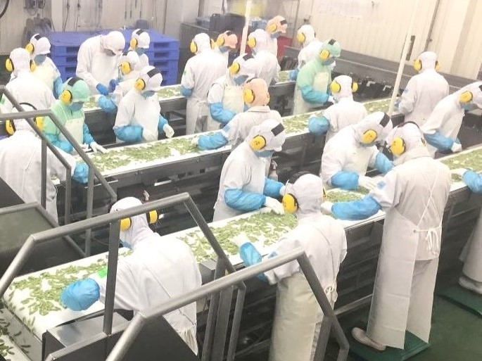 （有）北海道人材センター