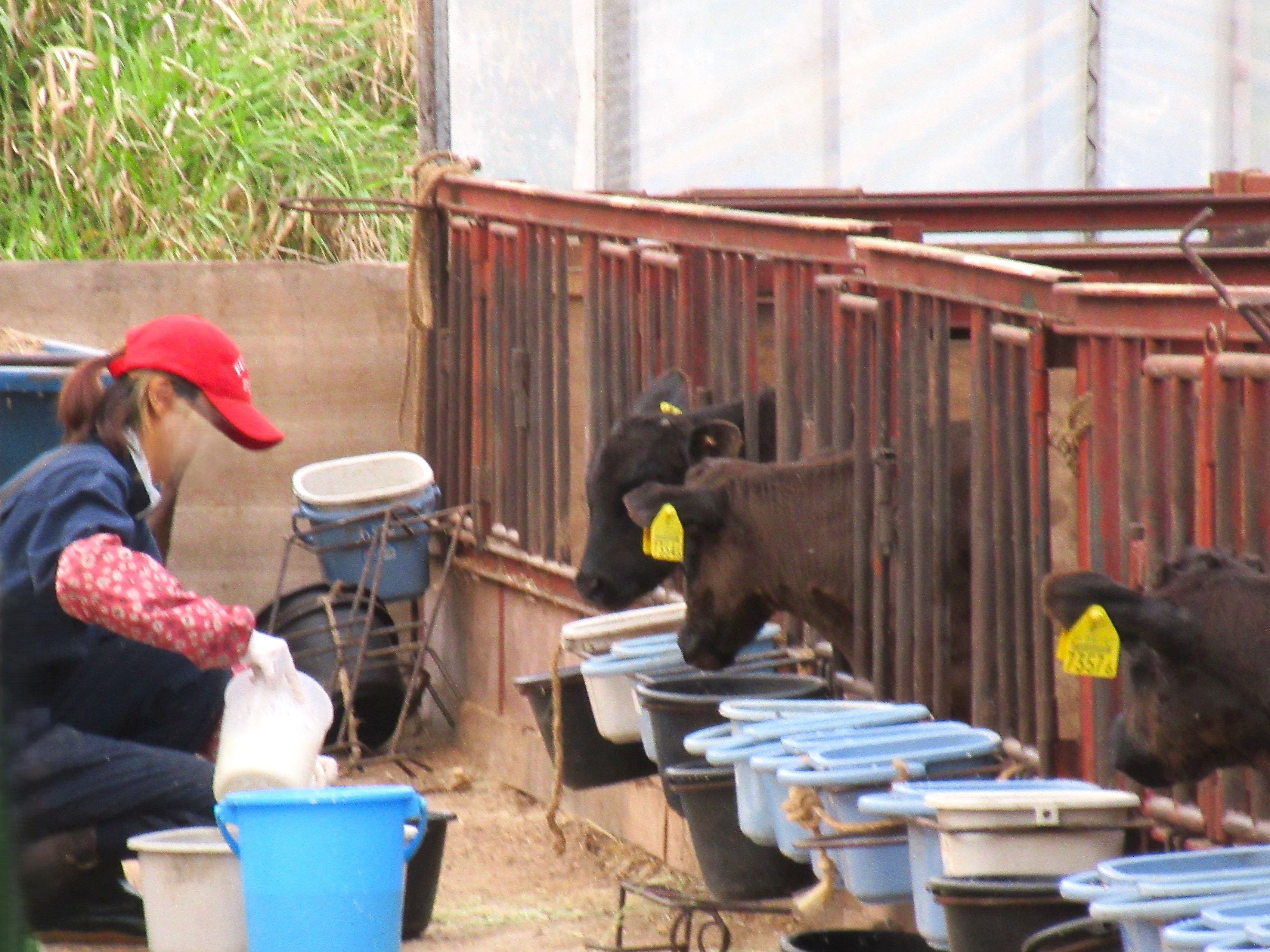 （有）手塚畜産