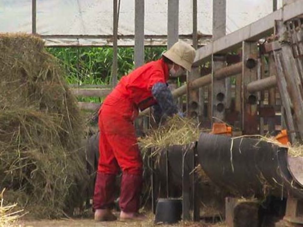 （有）手塚畜産