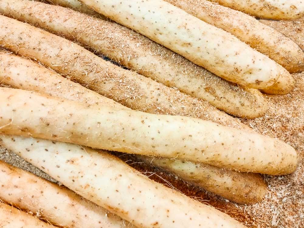 （株）畑中農園